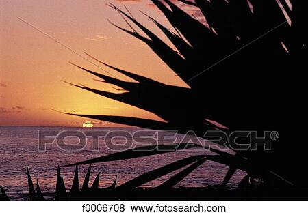 Reunion, Sunset View Large Photo Image Stock Photo - Reunion, Sunset. Fotosearch
