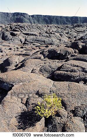 Reunion, Volcanic soil View Large Photo Image Stock Photo - Reunion, Volcanic soil. Fotosearch