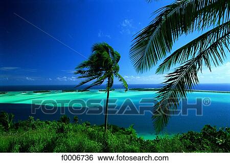 Stock Photograph - French Polynesia, Bora Bora, view on the sea,. Fotosearch