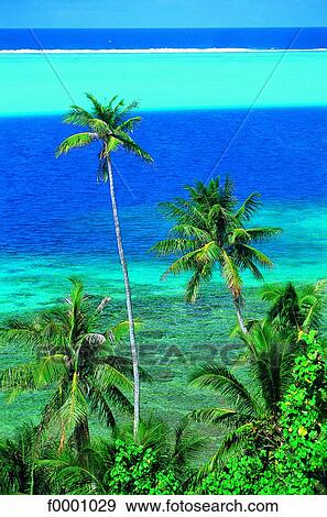Stock Photo - French Polynesia, Huahine Island. Fotosearch