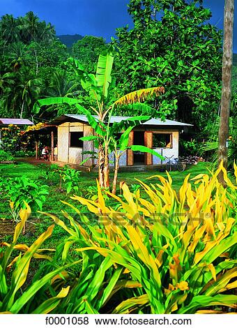 French Polynesia, Marquesas Islands View Large Photo Image Stock Photo - French Polynesia, Marquesas Islands. Fotosearch