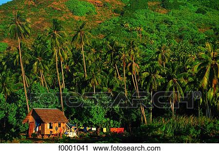 Stock Image - French Polynesia, Moorea Island. Fotosearch