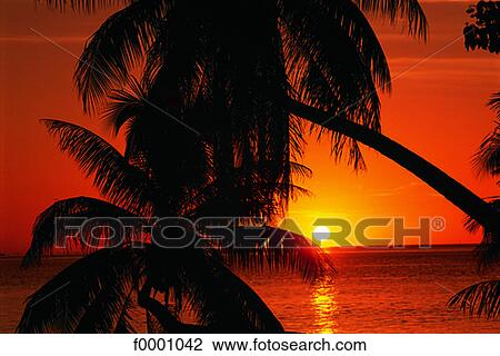 Stock Image - French Polynesia, Moorea Island. Fotosearch
