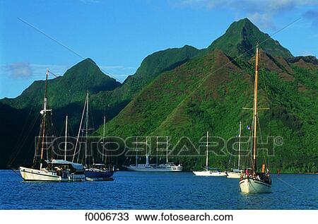 French Polynesia, Moorea, "Windsong" sailboats in Opunohu bay View Large Photo Image Stock Image - French Polynesia, Moorea, "Windsong" sailboats in Opunohu bay. Fotosearch