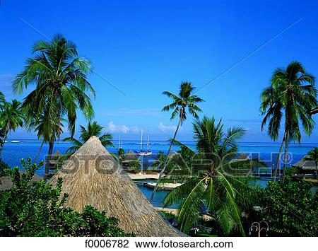 French Polynesia, Polynesia View Large Photo Image Stock Image - French Polynesia, Polynesia. Fotosearch