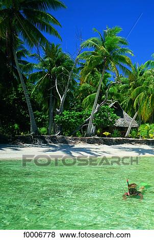 French Polynesia, Tuamotu, Rangiroa atoll, cabin onbeach View Large Photo Image Stock Photo - French Polynesia, Tuamotu, Rangiroa atoll, cabin onbeach. Fotosearch