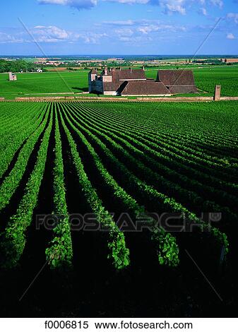 Stock Photography - Burgundy, Clos-Vougeot vineyard. Fotosearch