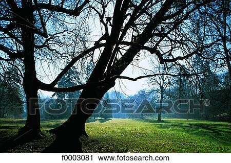 Stock Image - Burgundy, Park. Fotosearch