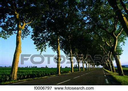 Stock Photo - Burgundy, Road around Beaune. Fotosearch