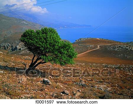 Greece, Crete, Preveli, the coast View Large Photo Image Stock Photo - Greece, Crete, Preveli, the coast. Fotosearch