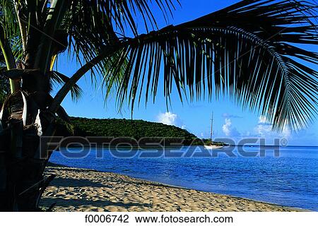 Stock Image - French West Indies, Guadeloupe, beach. Fotosearch