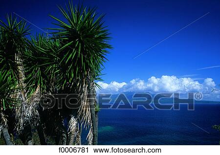 Stock Image - French West Indies, Guadeloupe, Les Saintes, coastal landscape. Fotosearch