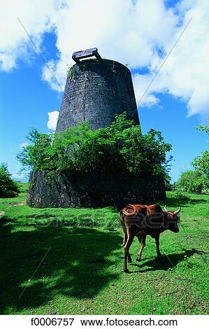 Stock Photo - French West Indies, Guadeloupe, old mill on Marie Galante. Fotosearch