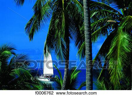 French West Indies, Guadeloupe, sailboat View Large Photo Image Stock Image - French West Indies, Guadeloupe, sailboat. Fotosearch