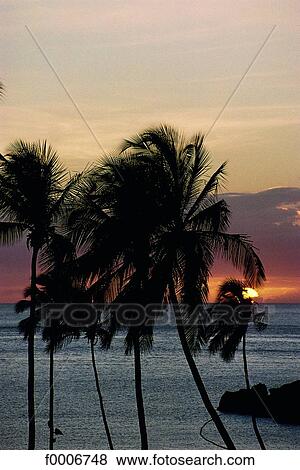 Stock Photo - French West Indies, Guadeloupe, sunset. Fotosearch