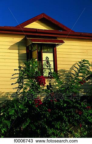 French West Indies, Guadeloupe, wooden house View Large Photo Image Stock Image - French West Indies, Guadeloupe, wooden house. Fotosearch