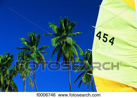French West Indies, Martinique, sail at Grande Anse View Large Photo Image Stock Photograph - French West Indies, Martinique, sail at Grande Anse. Fotosearch