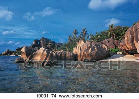 Picture - Dream beach and Palms, beach, seaside, seashore, beaches, sand. Fotosearch