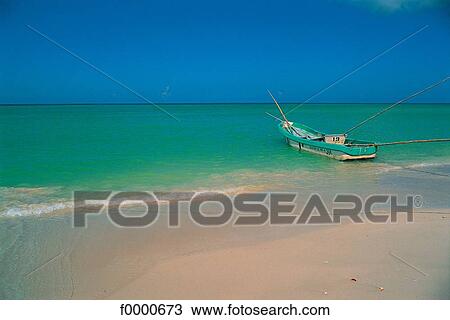 Stock Image - Dream beach and Palms, beach, seaside, seashore, beaches, sand. Fotosearch