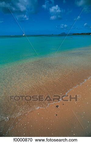 Dream beach and Palms, beach, seaside, seashore, beaches, sand View Large Photo Image Stock Image - Dream beach and Palms, beach, seaside, seashore, beaches, sand. Fotosearch
