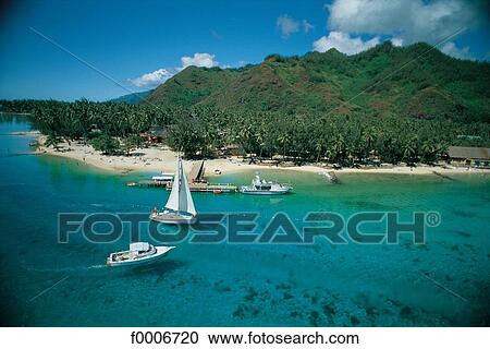 Dream beach and Palms, exterior shot, open air, outsides View Large Photo Image Stock Image - Dream beach and Palms, exterior shot, open air, outsides. Fotosearch