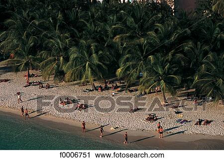Stock Image - Dream beach and Palms, exterior shot, open air, outsides. Fotosearch