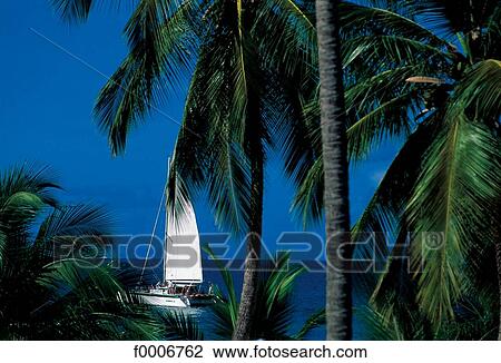 Dream beach and Palms, exterior shot, open air, outsides View Large Photo Image Stock Image - Dream beach and Palms, exterior shot, open air, outsides. Fotosearch
