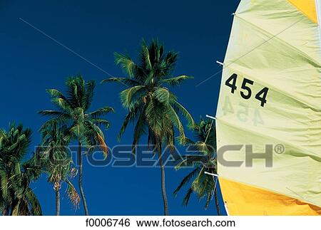 Dream beach and Palms, exterior shot, open air, outsides View Large Photo Image Stock Photograph - Dream beach and Palms, exterior shot, open air, outsides. Fotosearch