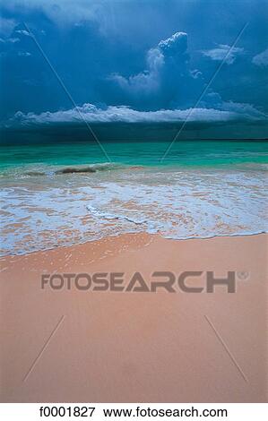 Stock Photo - Dream beach and Palms, foam, landscape, beach, seaside, seashore. Fotosearch