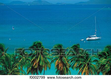 Stock Photo - Dream beach and Palms, landscape, blue, palm tree, vacation, holidays. Fotosearch