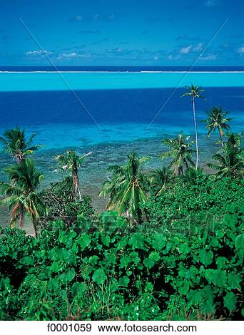 Dream beach and Palms, landscape, palm tree, sea, lagoon, exotism View Large Photo Image Stock Photo - Dream beach and Palms, landscape, palm tree, sea, lagoon, exotism. Fotosearch
