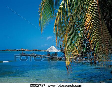 Stock Photo - Dream beach and Palms, landscape, palm tree, exotism, exotic, escape. Fotosearch