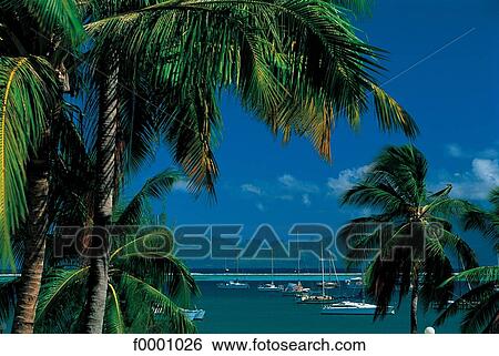 Dream beach and Palms, landscape, palm tree, exotism, exotic, French Polynesia View Large Photo Image Stock Photograph - Dream beach and Palms, landscape, palm tree, exotism, exotic, French Polynesia. Fotosearch