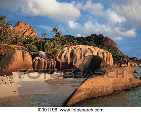 Stock Photograph - Dream beach and Palms, rock, beach, seaside, seashore, beaches. Fotosearch