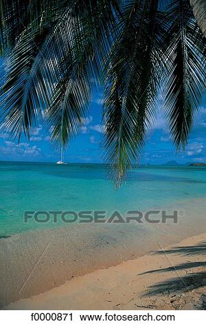 Get Paume decor de plage For iPhone Free