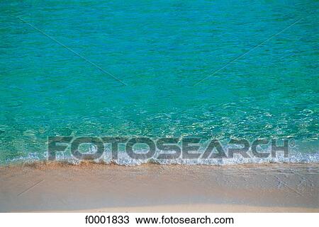 Rêve Plage Et Paumes Paysage Mer Mousse Plage Bord Mer Banque Dimage