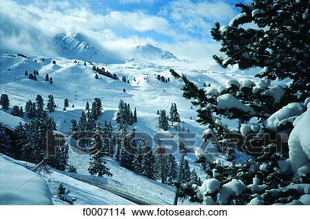 France, Alps, La Plagne, pines in snowy landscape View Large Photo Image Picture - France, Alps, La Plagne, pines in snowy landscape. Fotosearch