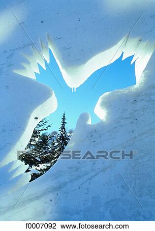 Stock Image - France, Alps, Valloire, symbolic bird. Fotosearch