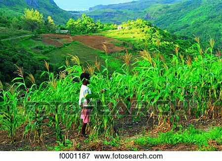 Mauritius Island, Rodrigues Island View Large Photo Image Stock Photo - Mauritius Island, Rodrigues Island. Fotosearch
