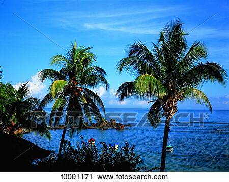 Seychelles, Mahe Island View Large Photo Image Stock Image - Seychelles, Mahe Island. Fotosearch