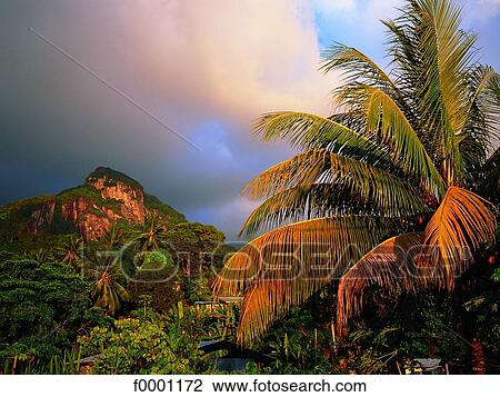 Stock Image - Seychelles, Mahe Island. Fotosearch