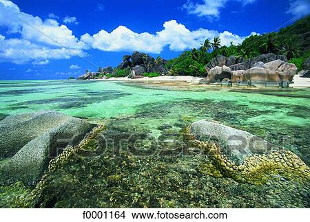 Seychelles, Source d'Argent handle, beach and granite View Large Photo Image Picture - Seychelles, Source d'Argent handle, beach and granite. Fotosearch