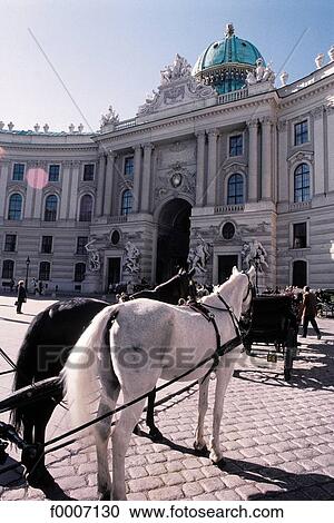Vienna, Horses on Palace of Hofburg square View Large Photo Image Stock Image - Vienna, Horses on Palace of Hofburg square. Fotosearch