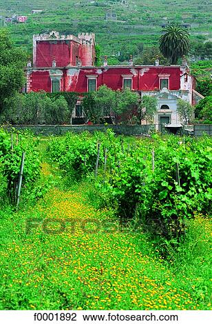 Italy, Ischia View Large Photo Image Stock Image - Italy, Ischia. Fotosearch