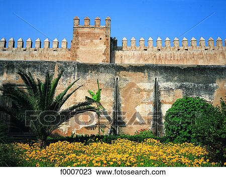Morocco, Rabat, Garden of the Oudayas kasbah View Large Photo Image Stock Image - Morocco, Rabat, Garden of the Oudayas kasbah . Fotosearch