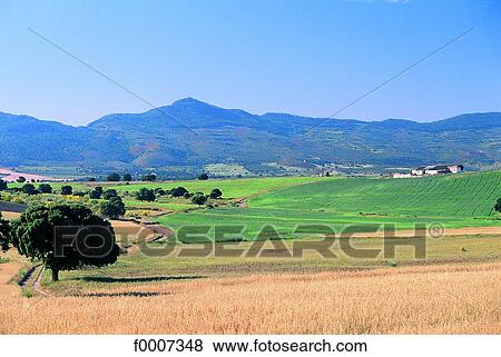 Spain, Andalusia, In the countryside View Large Photo Image Stock Photo - Spain, Andalusia, In the countryside. Fotosearch