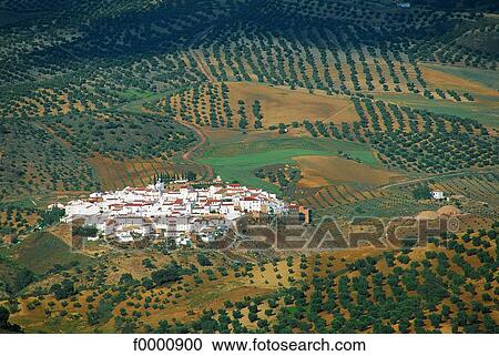 Spain, Andalusia, Village surrounded by olive trees View Large Photo Image Stock Image - Spain, Andalusia, Village surrounded by olive trees. Fotosearch