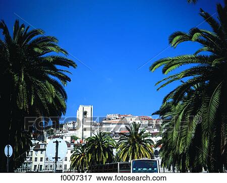 Portugal, Lisbon, Alfama neighborhood and palmtrees View Large Photo Image Stock Photo - Portugal, Lisbon, Alfama neighborhood and palmtrees. Fotosearch