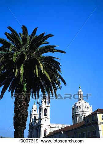 Portugal, Lisbon, Church and palmtree View Large Photo Image Stock Photo - Portugal, Lisbon, Church and palmtree. Fotosearch