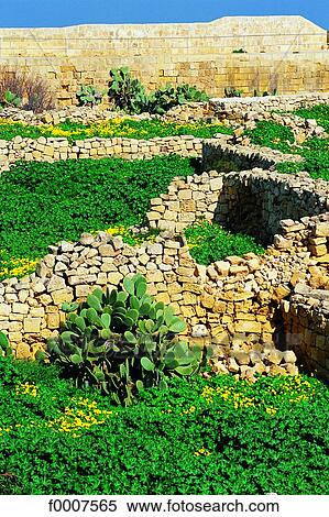 Malta, Gozo, Victoria, ruins of the fortress View Large Photo Image Stock Photography - Malta, Gozo, Victoria, ruins of the fortress. Fotosearch